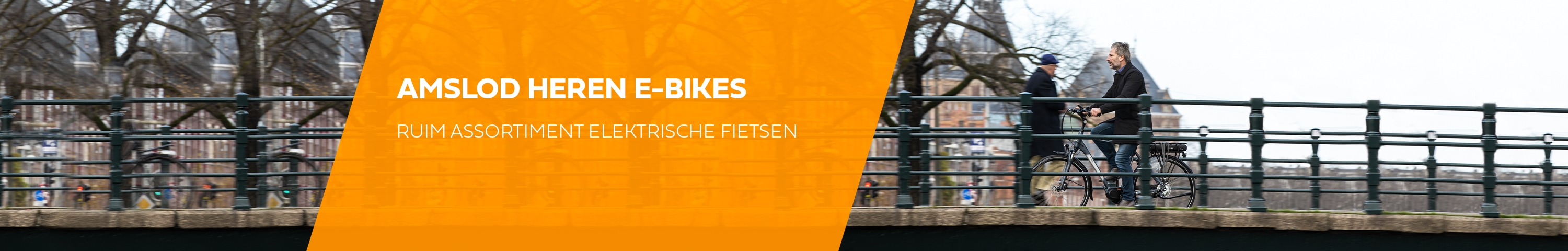 Elektrische fietsen - Desktop-20220309114026701